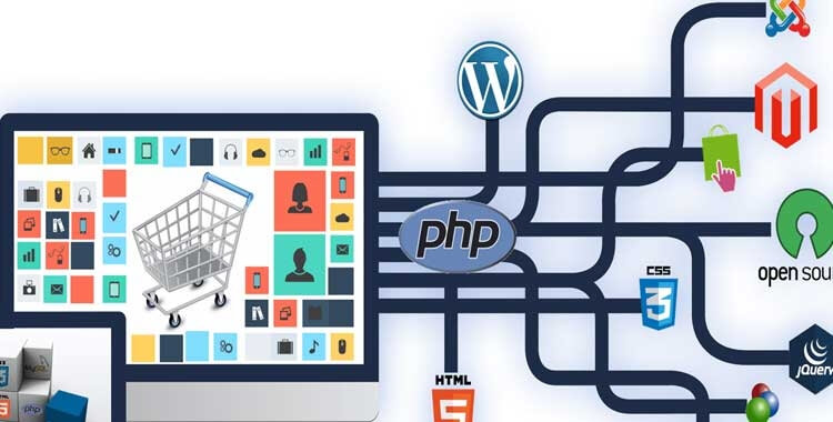 India's Best Ecommerce Web Design Company In Delhi