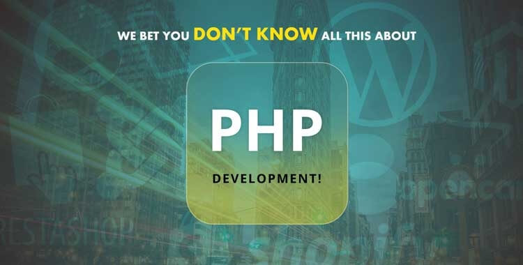 India's Best PHP Web Development Company In Delhi