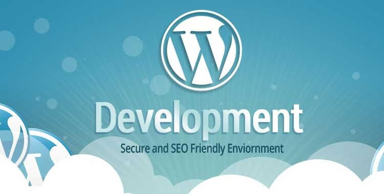 India's Best Wordpress Development Company In Delhi
