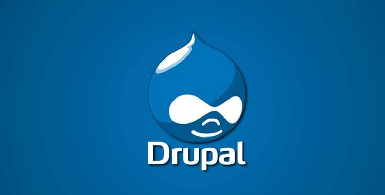 India's Best Drupal Development Company In Delhi