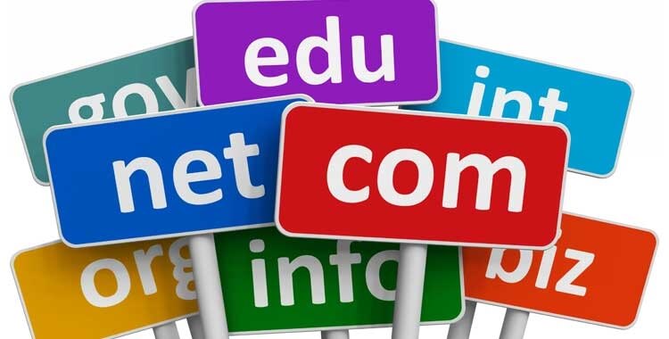 India's Best Domain Registration Company In Delhi