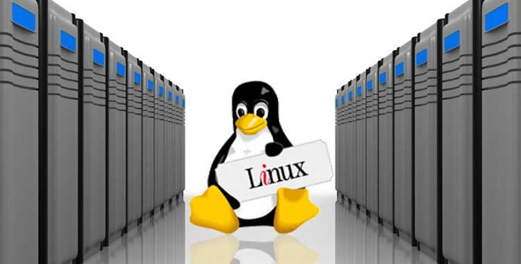 India's Best Linux Web Hosting Company In Delhi